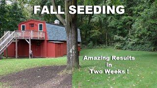 Jonathan Green Black Beauty, Fall Seeding - Great Results in Two Weeks - How To Seed your Lawn