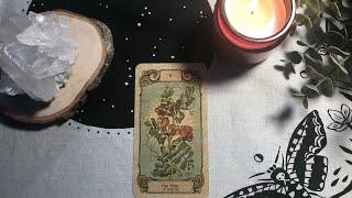 Botanica Oculta tarot deck