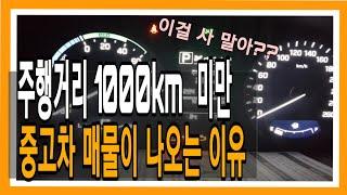 그들은 왜 주행거리 1000km도 채 안된차를 파는걸까? 신차 사실분 필수시청! 신차급 중고차의 비밀 !