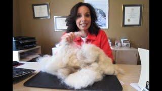 Building the world’s largest dog fur ball