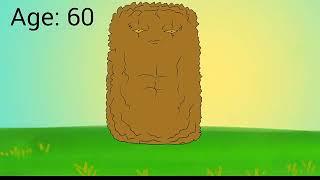 Plants vs Zombies 2 tall nut ages