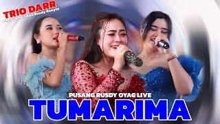 TRIO DARR ( DHEA GEMOII AYU RUSDY RENYTA ) - TUMARIMA MAH TUMARIMA | PUSANG RUSDY OYAG LIVE