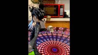 Frazier Jessica project3 video "Daily Dead"