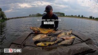 La Loire est toujours magique ! pêche de gros poissons au feeder.