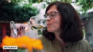 Weintour ab Iphofen durchs fränkische Weinland | Reisen zum Frankenwein