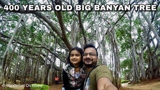 400 YEARS OLD BIG BANYAN TREE BANGALORE | Dodda Aalada Mara | Wanderlust On Wheel