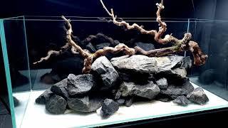 Aquascape Tutorial: 360° River Aquarium / Paludarium / Aqua Terrarium || MD FISH TANKS