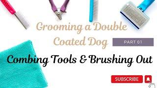 Grooming the Double Coated Dog Part 1