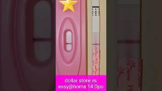 14dpo live pregnancy test #pregnancy #livepregnancytest #motherhood #baby #pregnant #pregnancytest