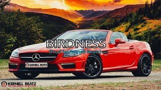 "BirdNess " dancehall type beat 2021 | dancehall riddim instrumental 2021 | Kernell Beatz