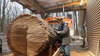 Massive White Oak on the Sawmill