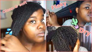 Healthy Natural Hair Routine for Dry & Flaky Hair & Scalp | Mid week Refresh