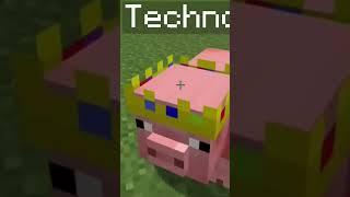 name tag in Minecraft for pig to get technoblade crown