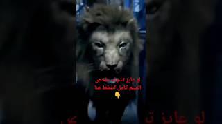 هجمات الأسد المرعبة في شوارع امريكا ملخص، الفيلم #الحيوانات_المفترسة #shorts