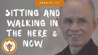 Sitting and Walking in the Here and Now | Dharma Talk by Thich Nhat Hanh, 2004-01-11