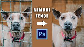 How To Remove Fence Quickly in Photoshop Cs6 Tutorial