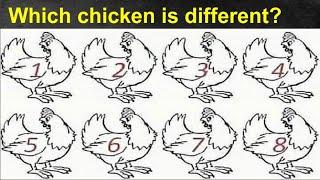 Which chicken is different Riddle & Brain teaser