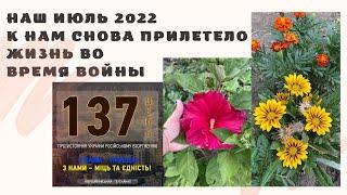 Жизнь во время войны.Наш июль 2022 К нам снова прилетело