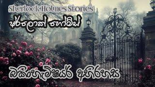 Sherlock Holmes | බකිංහැම්ෂයර් අභිරහස සම්පූර්ණ කතාව | Full Sinhala Audiobook | Cn Audio Stories