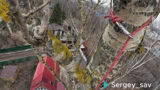 Арбористика. Удаление 30-ти метрового  дерева около дома