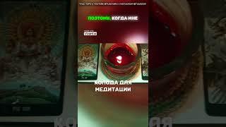 ️ЛУЧШИЕ КОЛОДЫ 2023 года Моя коллекция карт таро  #туастаро #обзорколлекциитаро #колодытаро