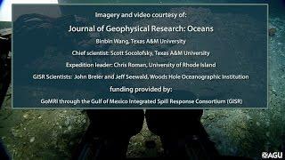 Observing bubbles from underwater gas seeps