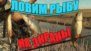РЫБАЛКА НА ЭКРАНЫ-ТЕЛЕВИЗОРЫ. Наловили кучу рыбы.