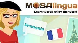 Mosalingua French Learning Program Review (All levels)