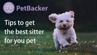 10 tips to get the best pet sitter for your dog, cat or pets