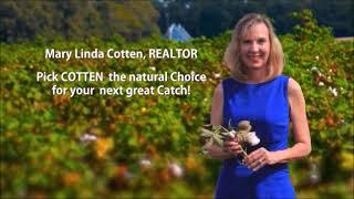 Mary Linda Cotten Realtor Testimonials