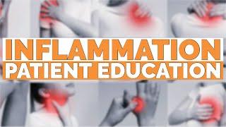 Inflammation | Chiropractic Patient Education Video for Streaming in Your Practice