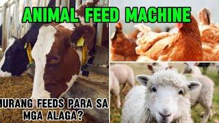 Small Pellet Machine || Pellet mill || Animal feed machine || murang bilihan ng Pellet Machine