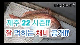 제주 타이라바 22시즌 잘 먹히는 채비 공개, 제주에서 꼭 손맛 보셨으면 좋겠습니다. 나만 따라와 중이어부 - jeju tairubber fishing.