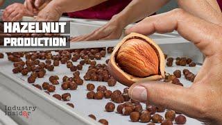 20,000 Tons Hazelnut Production Factory In Azerbaijan! One Of The Worlds Biggest