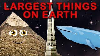 Largest Things on Earth Size Comparisons | 3D Size Comparison Compilation