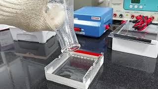 HTBM001 HiPer® Agarose Gel Electrophoresis Teaching Kit