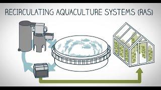 What is land-based fish farming?