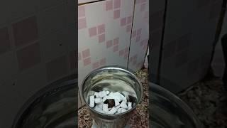 नारियल चटनी बनाने का आसन तरीका|coconut chutney #ytshorts#trending #shortsfeed ##Ragini ke kitchen se