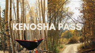 Colorado leaf peeping: Kenosha Pass