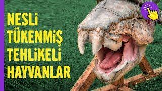 İyi ki nesli tükenmiş diyeceğiniz hayvanlar | İlginç bilgiler | Aklında olsun