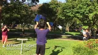 Affinity Flight: 2 Hyacinth Macaws' amazing freeflight through dense obstacle course