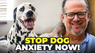 Everything You Need to Know About Dog Anxiety