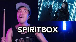 Spiritbox 'Jaded' | reaction & drum cover | tysondang