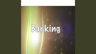 Barking (Instrumental Tribute to Ramz)