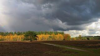 Zwerven  op de Veluwe 10