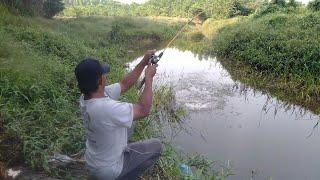 MANCING DI MUSIM KEMARAU IKAN NYA NGUMPULDI SINI SETRIKE TERUS SAMPAI PEGEL !!.