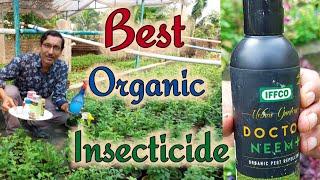 Best Organic insecticide available in the  market