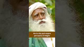 Puoi percepire la Vita al meglio solo quando sei a tuo agio | Sadhguru Italiano