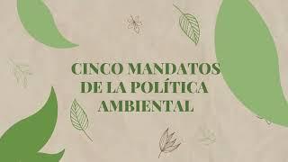 Observatorio Ambiental