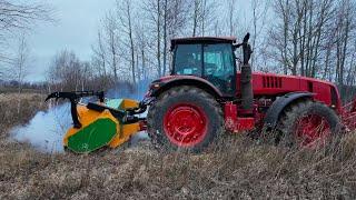 New Belarus-3522 tractor with mulcher rips birch trees into dust in the field